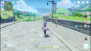 Timmy Final Boss Genshin Impact