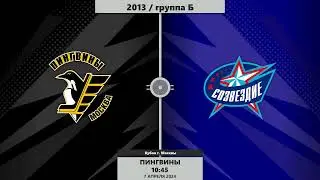 2013 | Пингвины - Созвездие | 07.04.2024