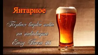 Варим  пиво на пивоварне Easy Brew 40