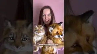 И не сомневайтесь, у вас получится ❤️Ссылка в шапке профиля