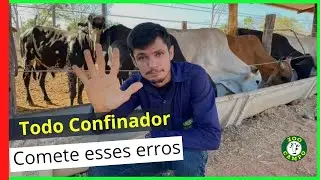 5 Mistakes that every Cattle Confinement Operator makes in their confinement.