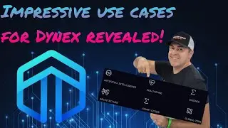 DYNEX solving real-world problems! (These use cases really hit home for me. Interview with Y3ti!)