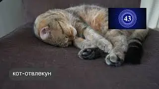 видео-викторина Кораблик Бэнчи