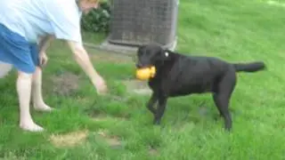 Talon playing 1