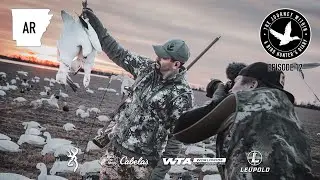 Snow Geese & Blue Geese: Arkansas Conservation Season Hunt | The Journey Within - Waterfowl Slam