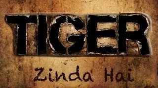 Tiger Zinda Hai : Ek Tha Tiger Sequel | Salman Khan & Katrina