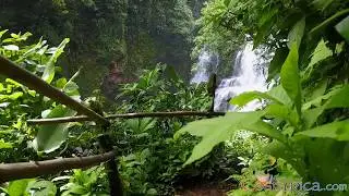 Nauyaca Falls