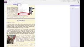 How to Password Protect Microsoft OneNote Sections