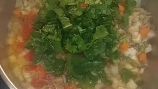 EV YAPIMI KOPEK MAMASI
