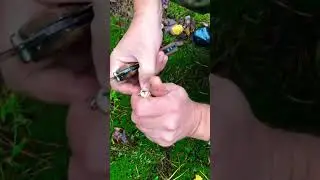 В грибах