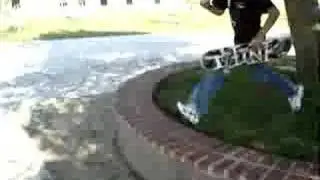 dfgd