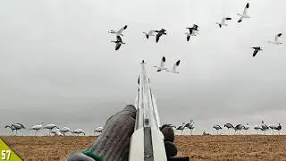 Snow Goose Hunting Over a SMALL Spread | Goose Hunting 2026
