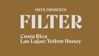 Brew Guides Las Lajas Yellow Honey Filter
