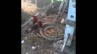 VID 20150130 170420