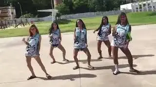 CHAPULETEI PASSINHO DO BREGA FUNK( COREOGRAFIA