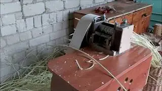 Строгаю соковую шинку, сорт Лозинка