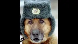 не большой прикол в любой сети ну он не на всегда