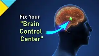 Control Your Emotions ❯❯❯ REGULATE Hypothalamus Now • 888Hz