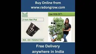 Net pots The most useful accessory in Hydroponics.