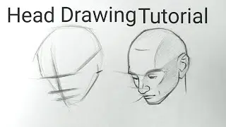 How to draw heads for beginners | Human Head drawing easy basics tutorial for beginners