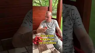 Кушай и не переживай, джинсы наши покупай 