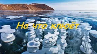 Русская рыбалка 4, РР4 - Фарм (Тунгуска, Ахтуба, Медвежка)