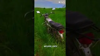 #alpha #racer #moto
