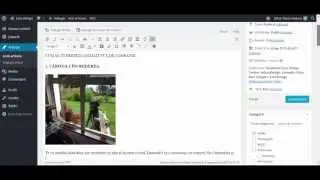 Cum scrii un articol corect pe wordpress