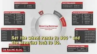 Logitech G27 - RaceRoom Experience Settings