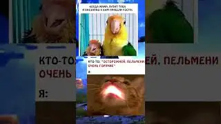 Просто 