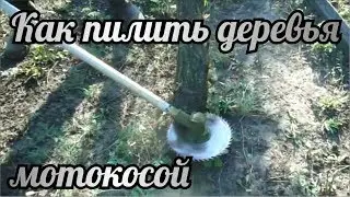 How to cut trees with a brush cutter