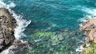 Istanbul Bosphorus Stock Footage Video