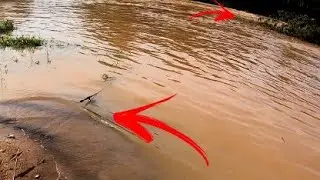 O BRUTO QUASE LEVOU A VARA EMBORA !!!isso era pré-histórico