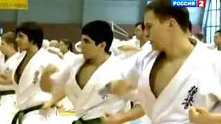 Как сдают на Черный пояс Киокусинкай