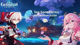 [GUIDE] All Sea Ganoderma Farming Route Location Inazuma Region | Genshin Impact