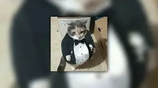 Gangnam Style - PSY  speed up