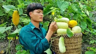 Harvest forest bananas, melon, go sell, forest life