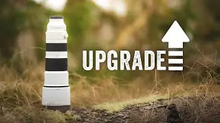 Upgrade your Sony 200-600mm with these accessories!