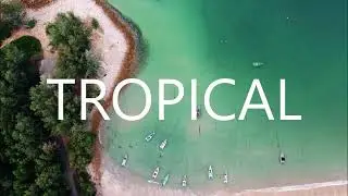 TROPICAL HOUSE NO COPYRIGHT 2023 BEST HD ! 🌴 