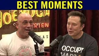 ELECTION SPECIAL: The Best 30 Minutes of Elon Musk & Joe Rogan's Podcast