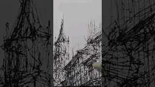 embrace the chaos. #architecturalsketching #art #architecturedrawing #scribbling #sketch