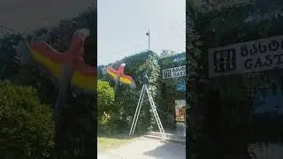 18 травня 2024 р.