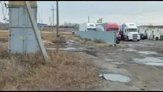 Вырубка леса в Красноярке 2021 год