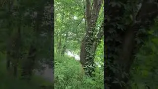 Hiking Eastwood Park and a little chat with a Deer (Part 4)