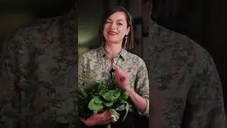 Наш самый любимый южный Зеленый борщ!