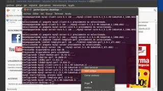 Servidor web básico - Ubuntu 10.10 Maverik Meerkat