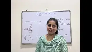 Glycemic Index | Glycemic Load | Diabetes