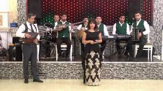 Segah Aysel Qurbanli