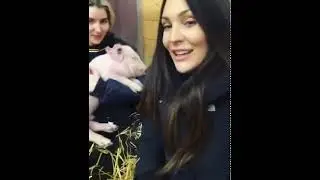 Meisha Johnson: ANIMAL SANCTUARY! MEET RUDY!