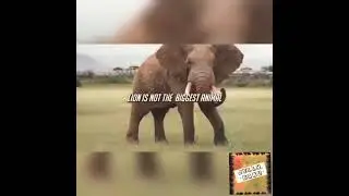 YOUR ATTITUDE MAKES YOU WHO YOU ARE